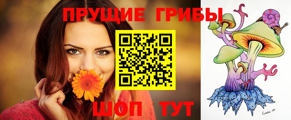 Псилоцибиновые грибы Magic Shrooms  Вход с VPN  цены   Архангельск  Псилоцибиновые грибы MAGIC MUSHROOMS 